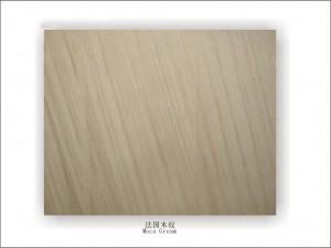 �Sľ�y�Ļ�ʯ